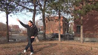 Leopard of Shaolin 13 Claws forms, free shaolin kungfu turotials, 少林十三爪 之 豹头 - 06