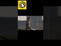 Motivational Video Rocky Ft Neeye Oli