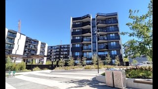 Crazy Poor Asian Migrant Considering Selling Prized Burwood Brickworks Apartment!