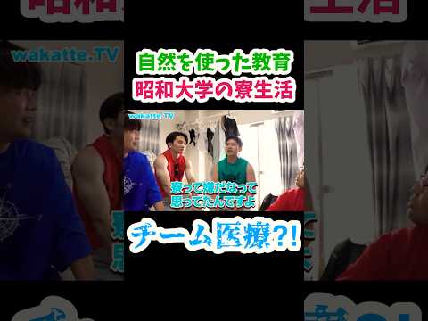【格差社会？】昭和大学の寮生活について聞いてみた【wakatte.TV 切り抜き】#wakattetv #shorts #昭和大学 #医学部 #アホ街ック天国