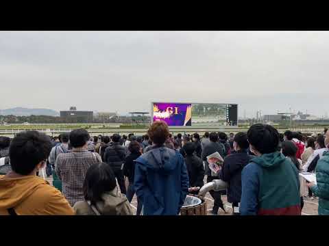 2021年11月21日 第38回マイルチャンピオンシップ（G1）阪神競馬場　現地撮影（煽りVTR途中〜レース後まで）グランアレグリア引退レース（ラストラン）