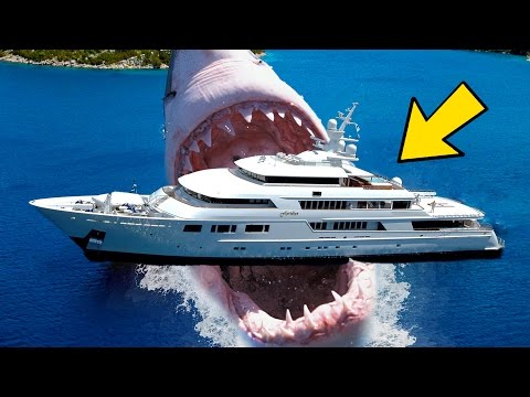 10 Extinct Animals That May Still Be Alive (Megalodon, Wooly Mammoth + MORE!)