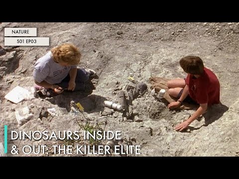 Dinosaurs Inside & Out: The Killer Elite