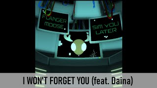 I Won't Forget You Music Video