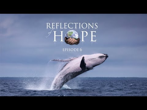Reflections of Hope Episode 06: Whale Song | Taj Pacleb