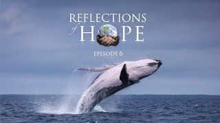 Reflections of Hope Episode 06: Whale Song | Taj Pacleb