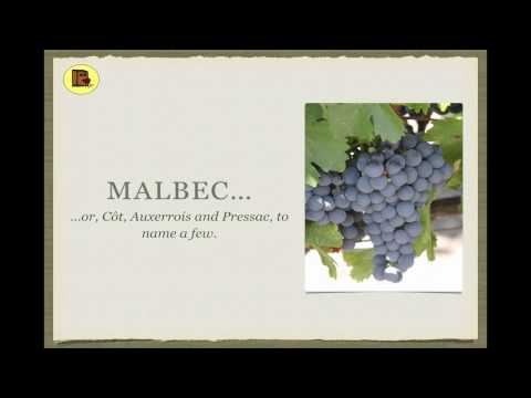 Winecast: Malbec