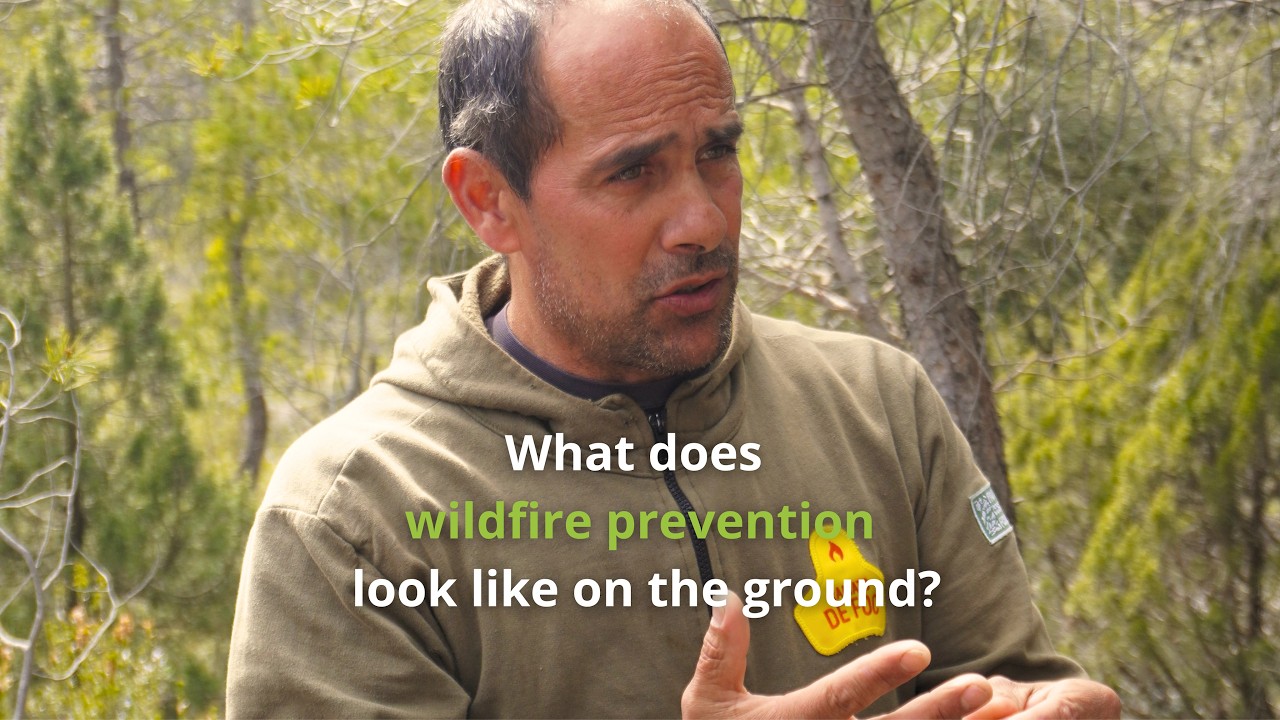 What does wildfire prevention look like on the ground?