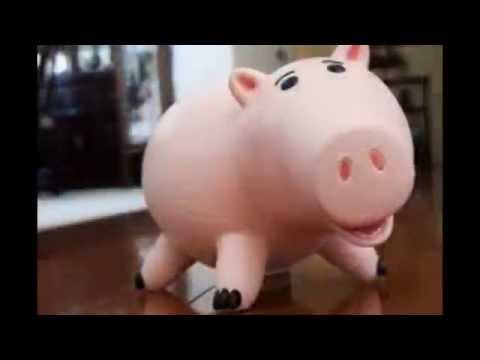 Song Days: The Swine Flu Song