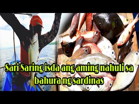 HANDLINE FISHING : Bahura Ng Sardinas & Hapunan Sa Bahay Vlog # 242 Part 1 | LourenceTV
