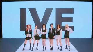 Video preview