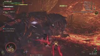 #モンハンワイルズ 【今更太刀強さを知るハンマー専】