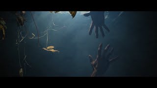 Firmament - Raymond Moody (OFFICIAL VIDEO)