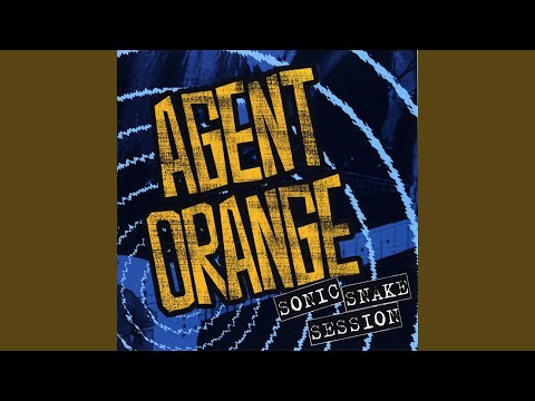 Voices (In the Night)