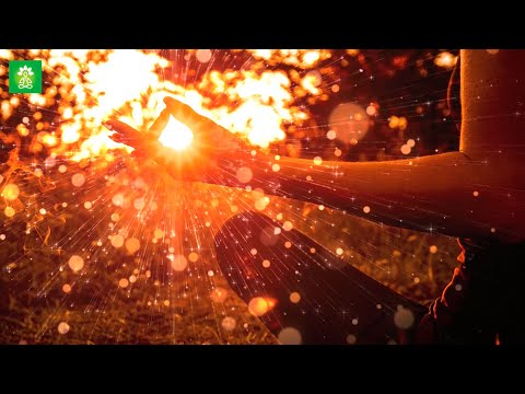 777hz 77hz 7hz, Attract Positivity | Manifest Miracles | Release Negative Vibes | Binaural Beats