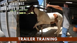 Teaching A Scared Horse To Load In A Trailer