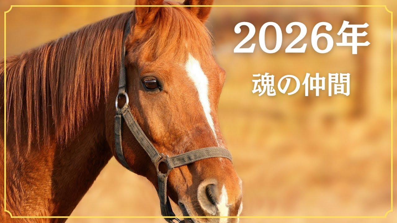 【2026年】夢の話、魂の仲間、AIの話