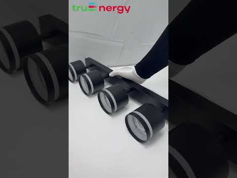 Миниатюра изображения товара Спот Truenergy 21394