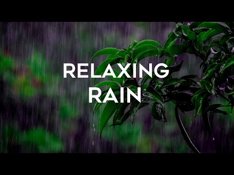 3 Hours of Gentle Rain ▸ Relaxing Rain Sounds for Sleep, Fall Asleep Faster