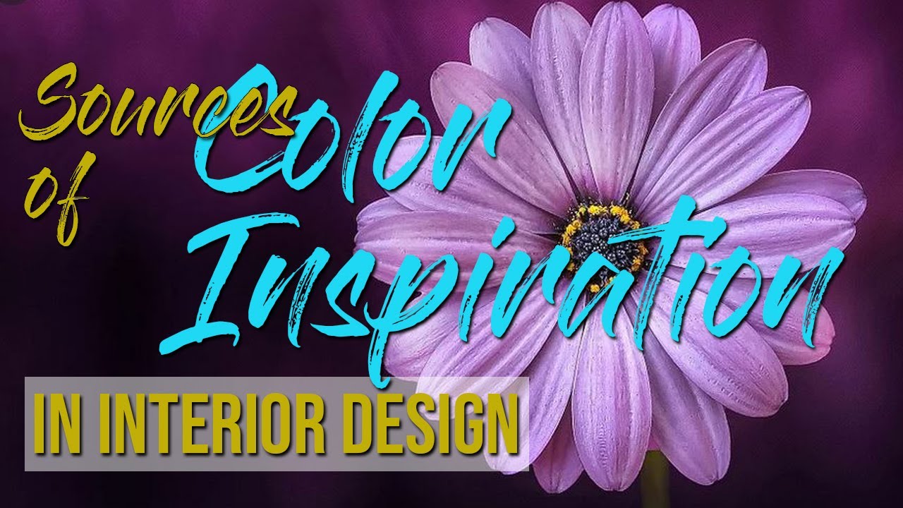 TOP 5 COLOR PALETTE SOURCES AND INSPIRATION IN INTERIOR DESIGN