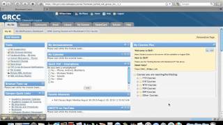 Blackboard 9 - Institutional Content