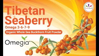 Dynamic Nutrition - Benefits of Tibetan Seaberry