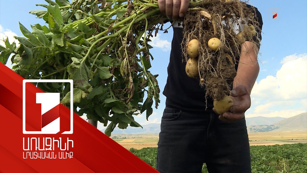 237 միլիոն դրամ՝ սեզոնային զբաղվածության ծրագրին