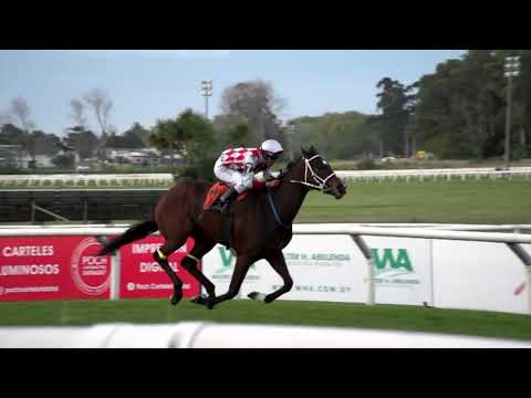 220925 c08 JAMBA (BRZ)