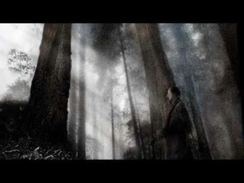 Daniel Landa - Chcíply dobrý víly