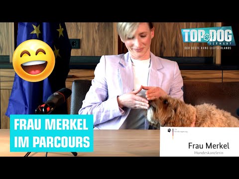 Bleibt Frau Merkel 16 Jahre im Parcours? 😂🐶 | Top Dog Germany 2022