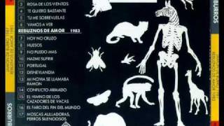 Los Burros - Disneylandia