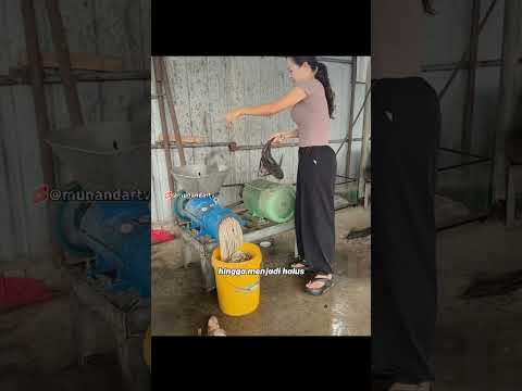 POC dari ikan Sapu sapu #faktaunik #munandartv