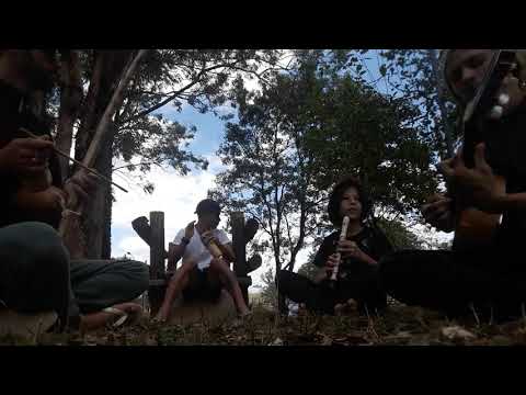 Versão de "Jah Providenciará"