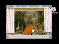The Amazing World 2006 Fox