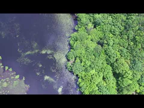 Kannonnuma Forest Park / Fukushima in Summer