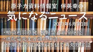 【原子力資料情報室】伴英幸の気になるニュース（2023年6月第1回）柏崎刈羽原発　運転禁止命令継続／送配電完全分離の検討へ／使用済みプルサーマル燃料を仏で再処理実証