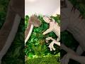 Brachiosaurus Vs Dinosaurs Dinosaurs Dinosaurtoys