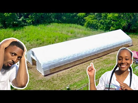 We Built a FREE Giant Greenhouse to Grow Food All Year! | Building a Homestead on Faith (ep.4)