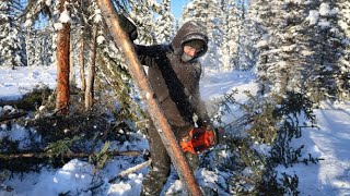50 Below, We Still Go! | Felling Frozen Trees + Snowshoe Hare Pot Pie