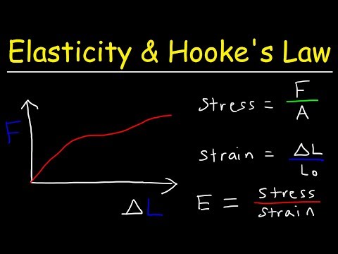 image-Which floor is also called as elasticity law?