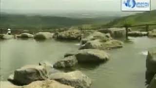 FOLLOW YOUR DREAM - Sheryn Regis (Synergy Music)