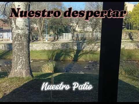 Nuestro despertar