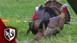 10 Gobblers in 10 Minutes (ULTIMATE Turkey Hunting Compilation)