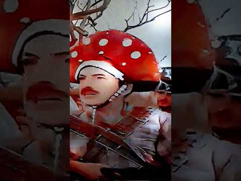 mazzaropi o lamparina (1986)