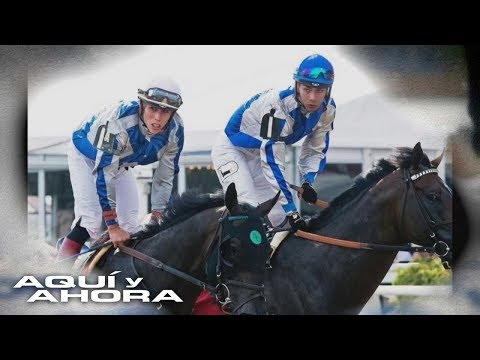 “When we get to the track we are no longer brothers, we are rivals”: ​​Hispanic riders who have c...