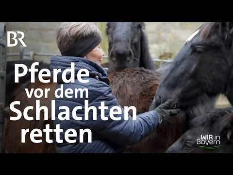 Pferde-Freunde Birnbaum: Die Fohlen-Retterin Sigrun Kleber | Wir in Bayern | BR