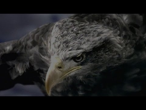 Mattoni - Orel (2002)