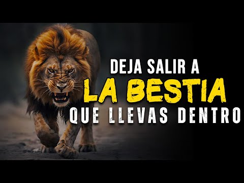 Lion Mindset - Powerful Motivational Speech