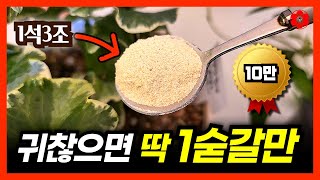 [3월 봄철 필수, 검증된 비료]ㅣ'딱 한숟가락 넣었는데' 꽃과 열매가 주렁주렁 놀랐어요ㅣ1석3조 식물영양제…