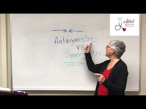 image-What is the difference between "synergistic" and "synergetic"? 